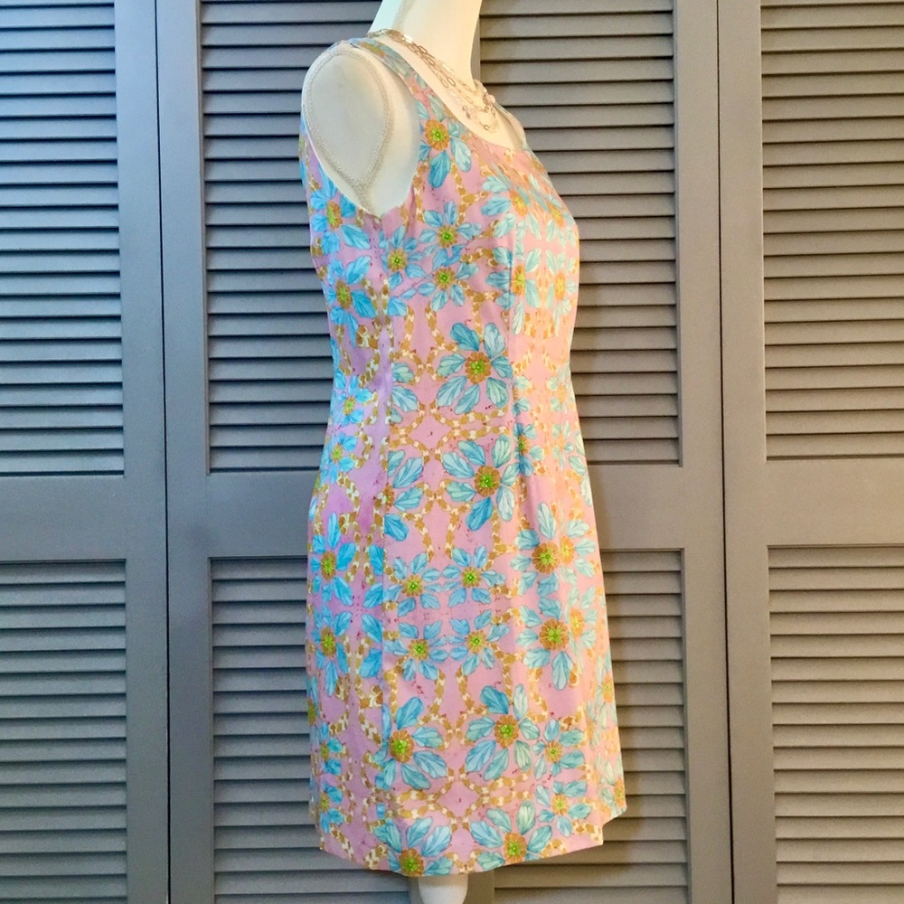 Kaeli Smith Sleeveless Dress - Picture 5 of 13